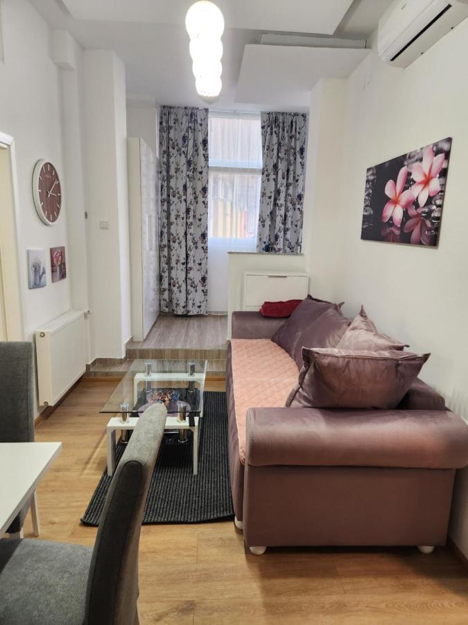 Apartman Zagreb Cca 42M2 With Free Parking Extérieur photo