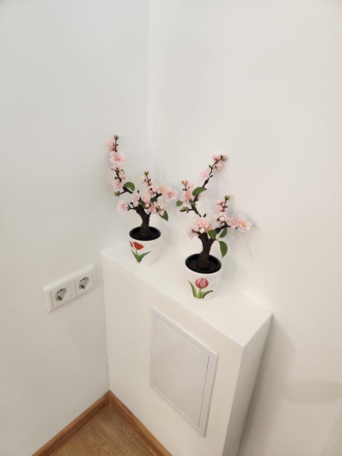 Apartman Zagreb Cca 42M2 With Free Parking Extérieur photo