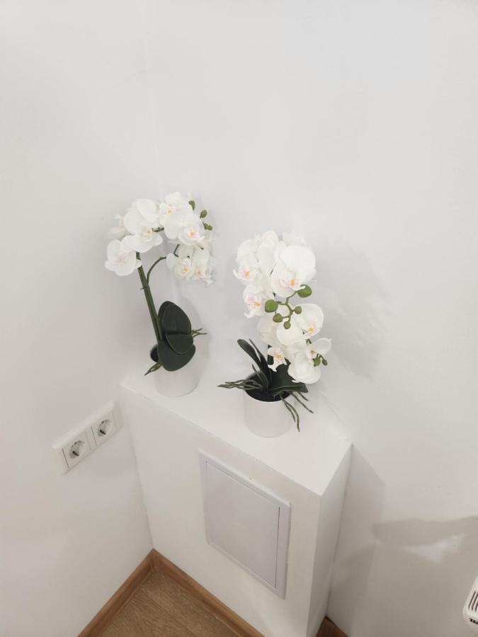 Apartman Zagreb Cca 42M2 With Free Parking Extérieur photo